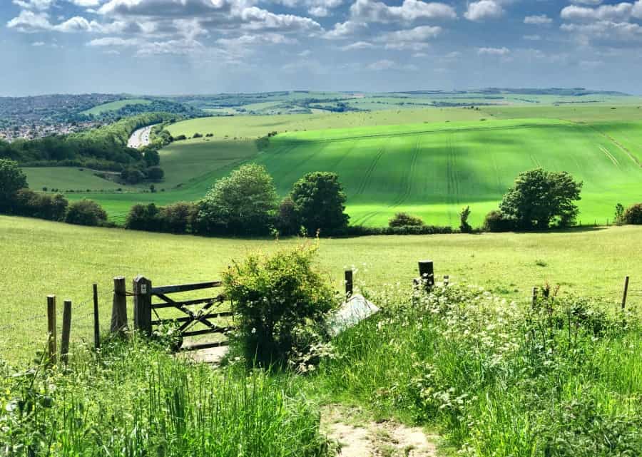 Countryside near Ditchling Beacon (Oskar Holm/Unsplash)