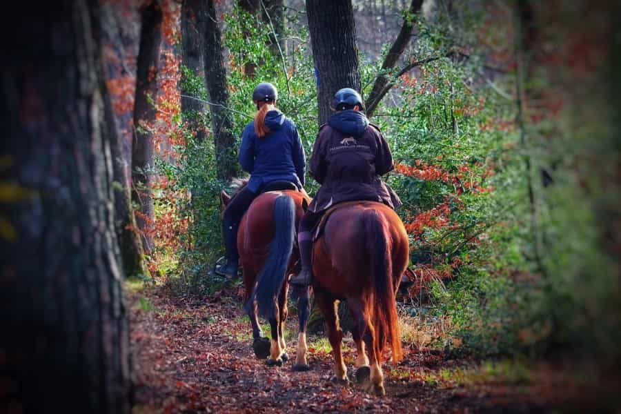 Ride the South Downs Way or split it into day-long sections (Tho-Ge/Pixabay)