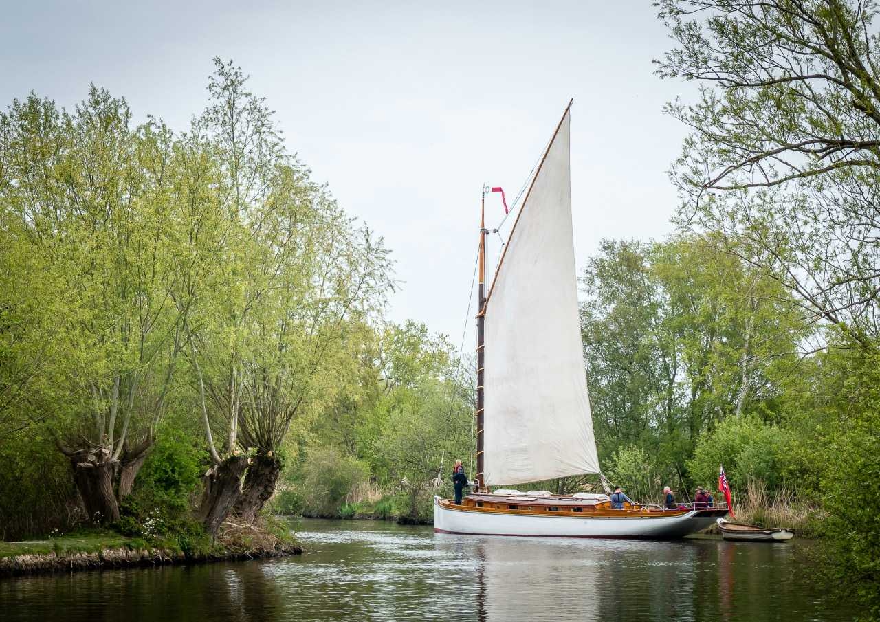 Discover wildlife from the waterways of the Norfolk Broads (James Armes/Unsplash)