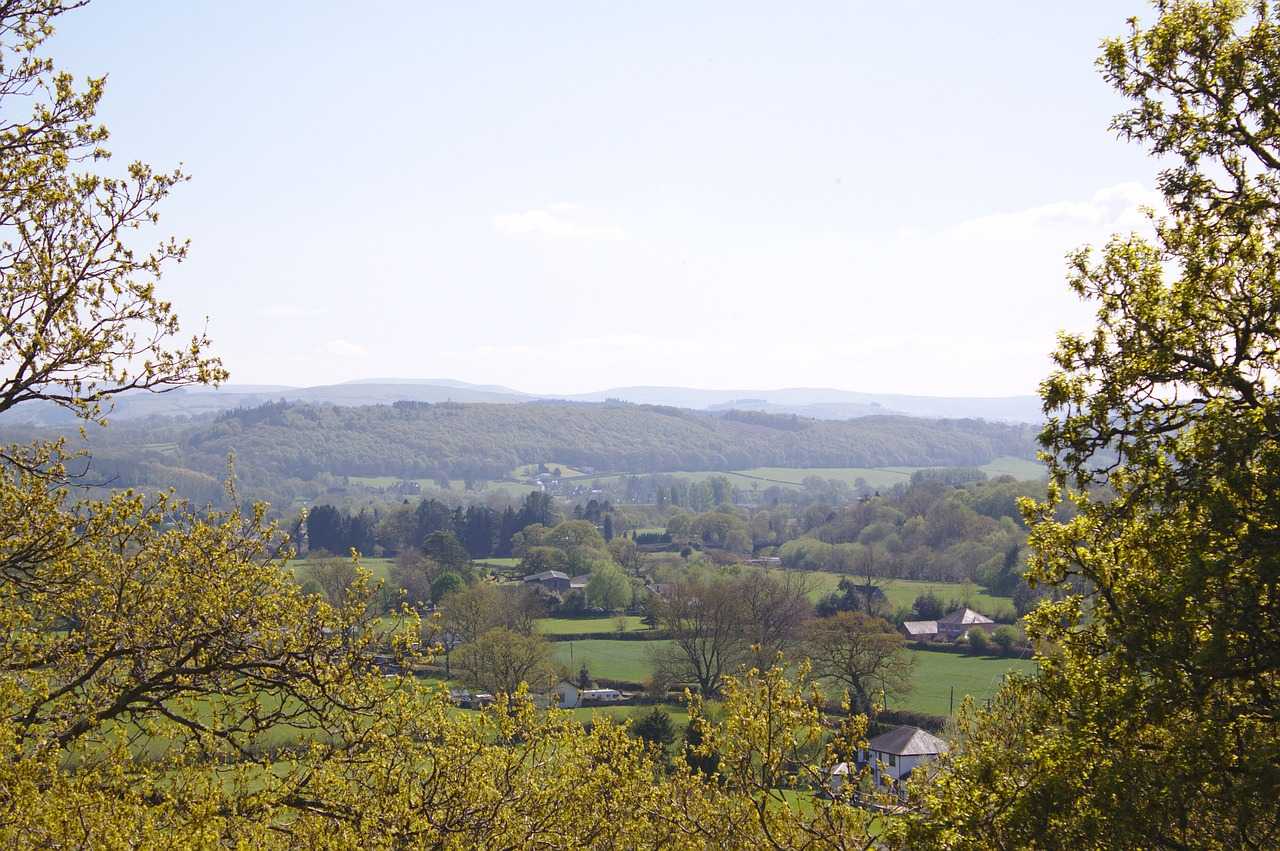 The gorgeous Carmarthenshire countryside (Pixabay)