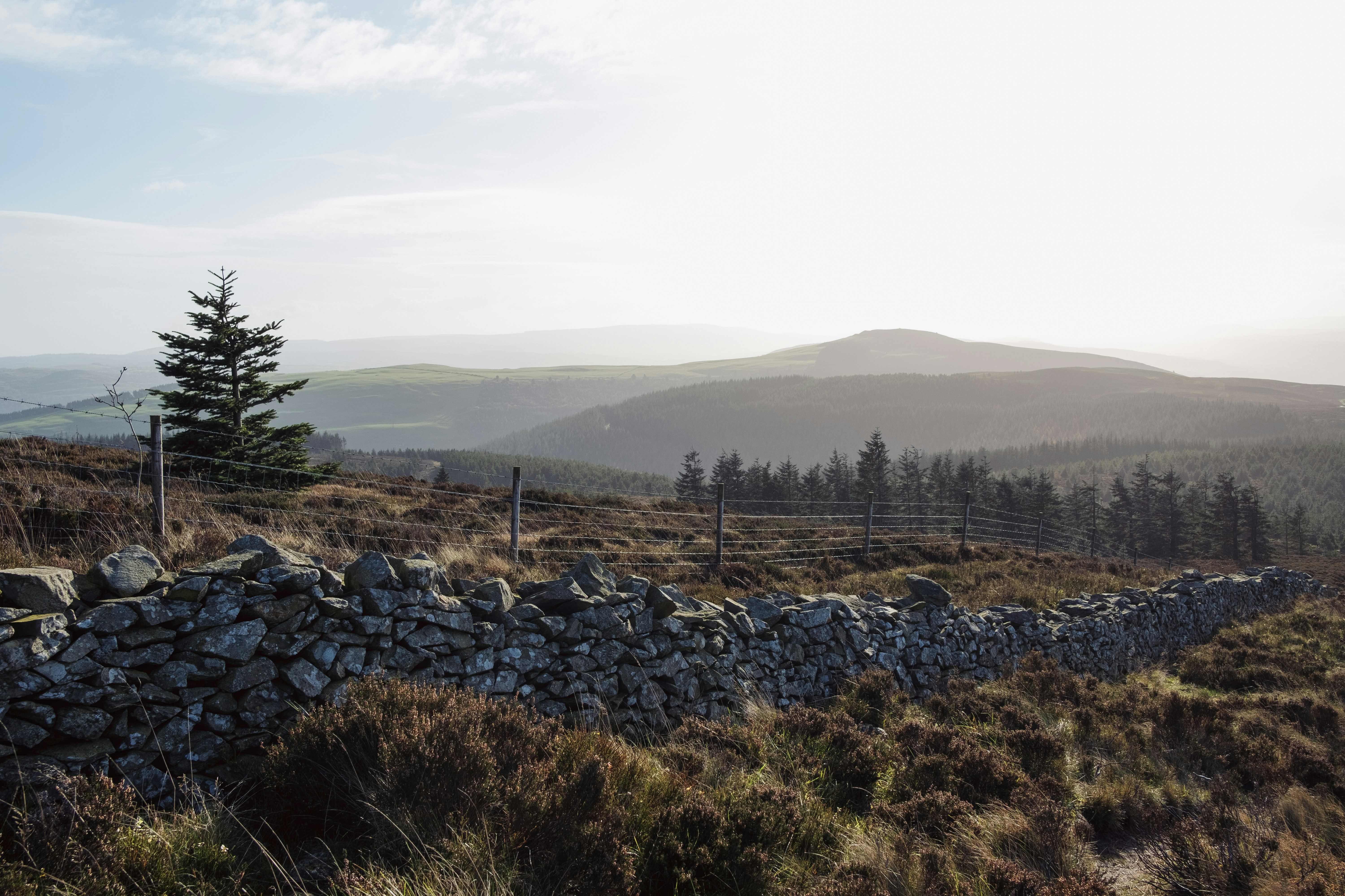 Looking up to Moel Famau (Mitchell Orr/Unsplash)