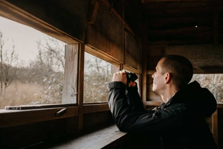 Take advantage of the area’s many bird hides and boardwalks to see nature up close (Annie Spratt/Unsplash)