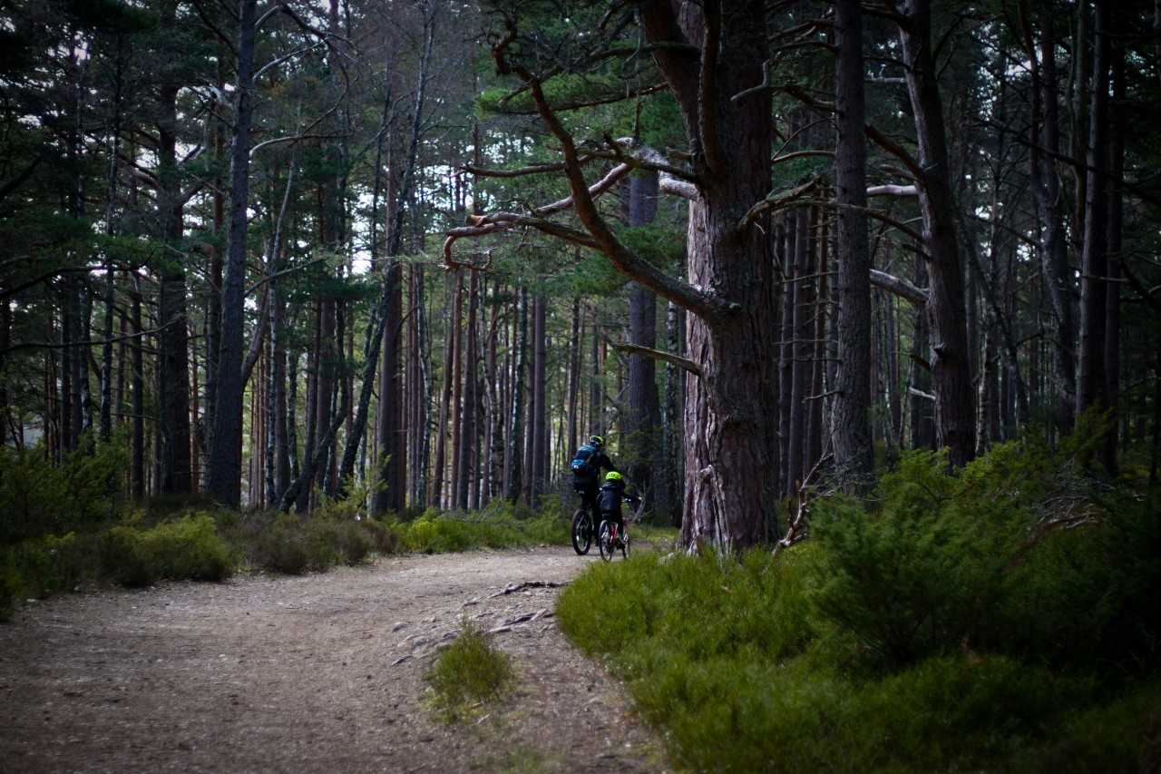 Cycling in the Cairngorms National Park (John Crozier/Unsplash)
