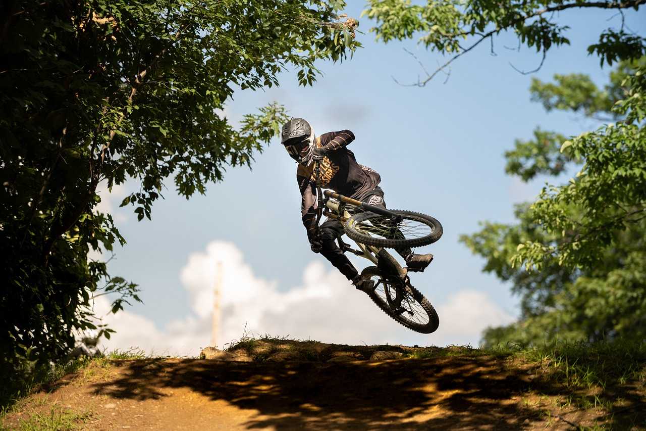 Mountain Biking (thelocalshredder/Pixabay)