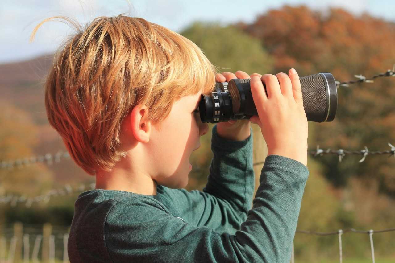 The Broads is an excellent place to get the kids interested in nature (David Carpenter/Unsplash)