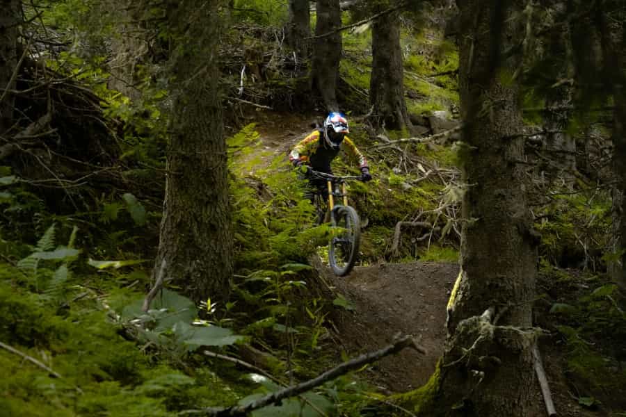 Test your mountain bike skills on some tough trails (Clement Delhaye/Unsplash)