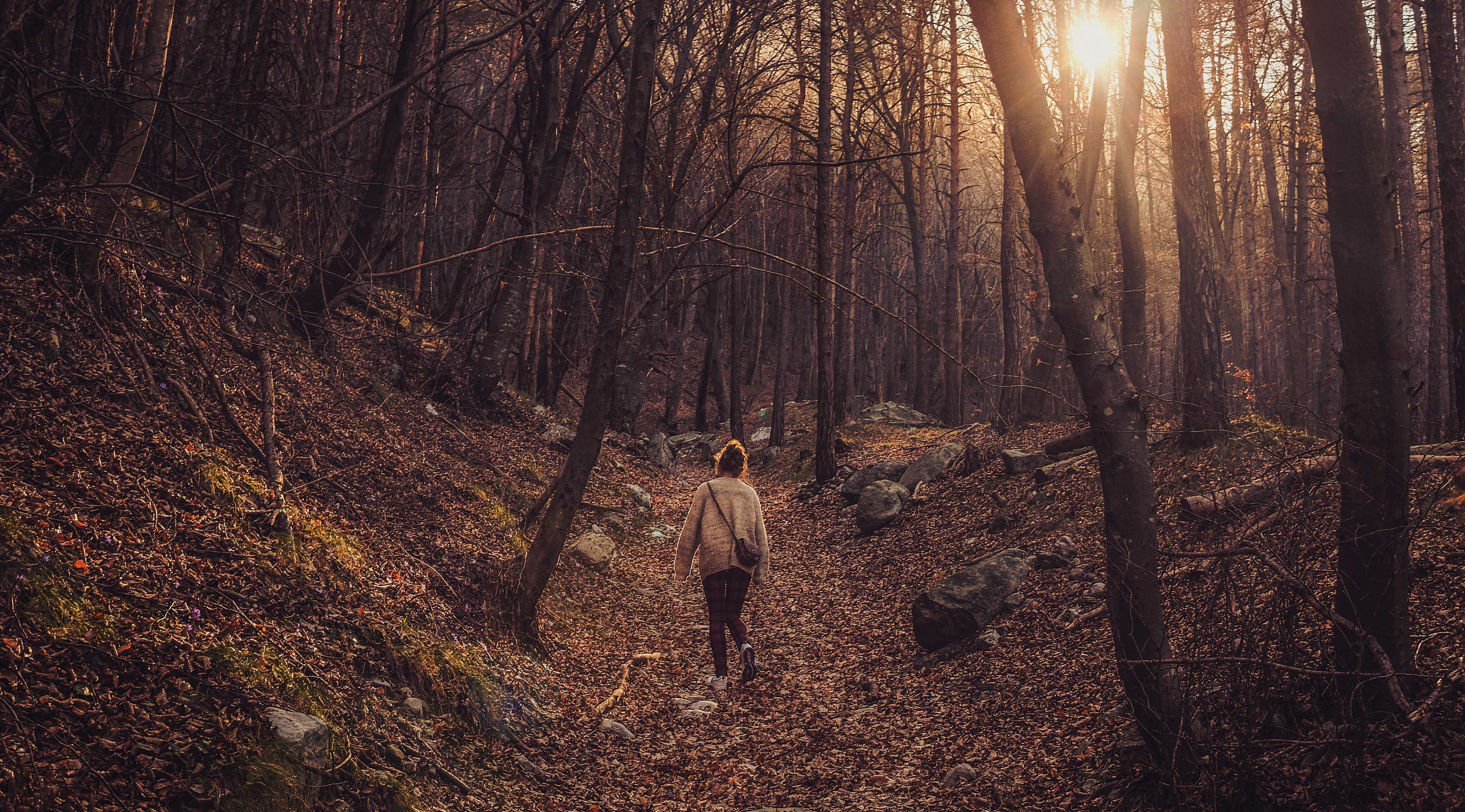 Herefordshire is a great place to get out for a walk (Christina Gottardi/Unsplash)