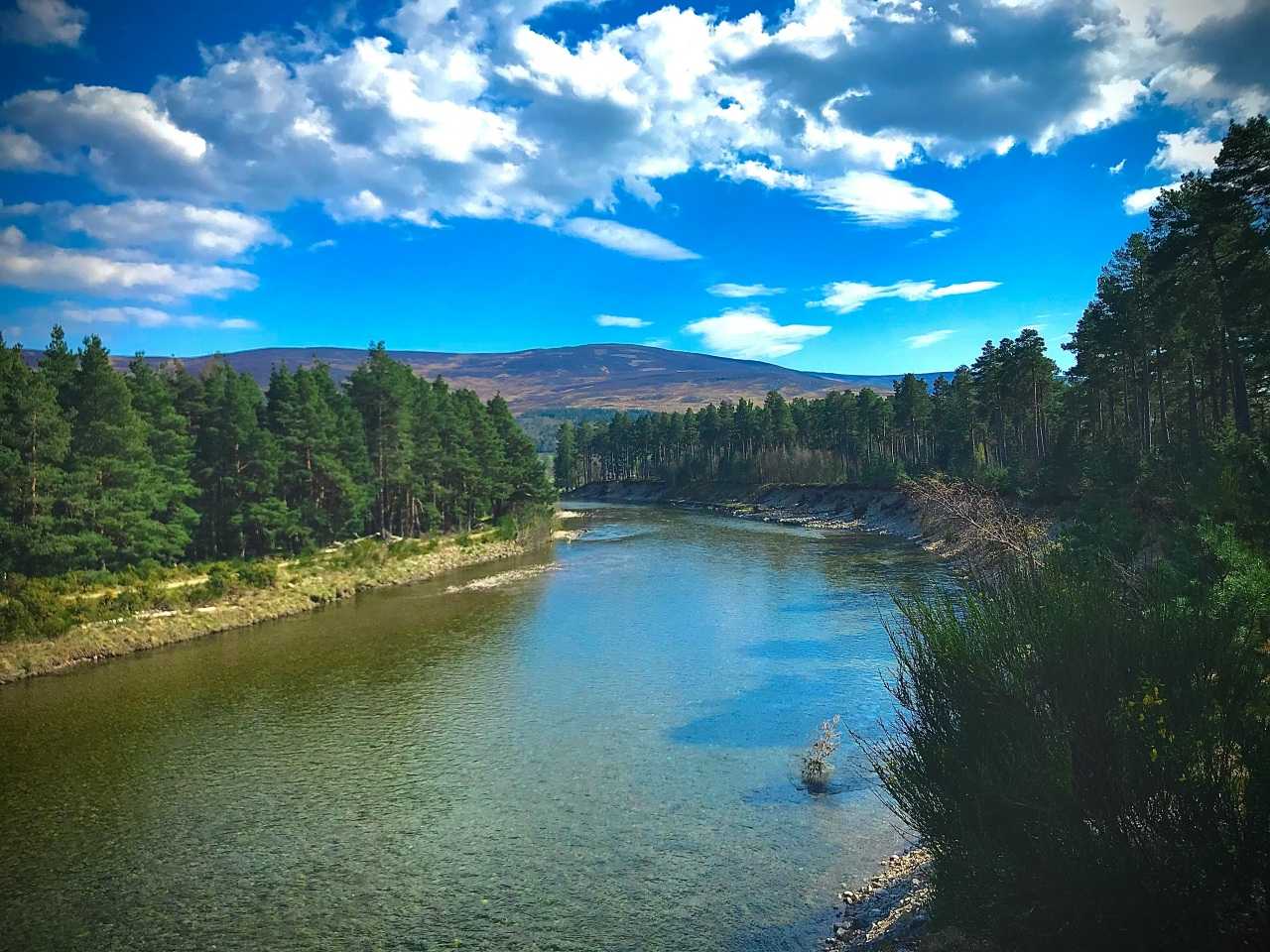 Cairngorms National Park (Kieran Everett/Unsplash)