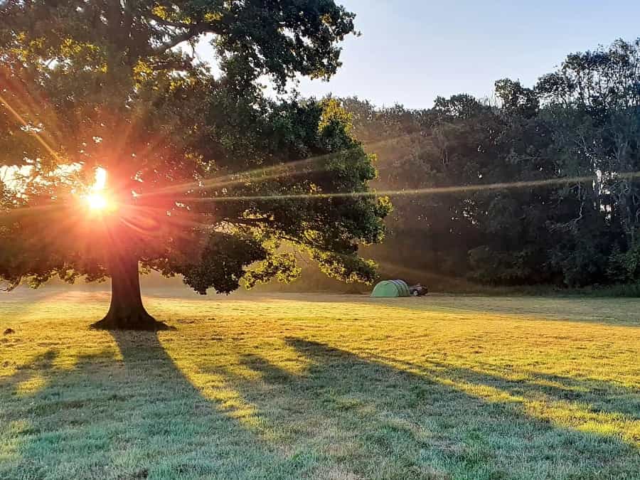 Farm campsite in the South Downs (Pitchup.com)