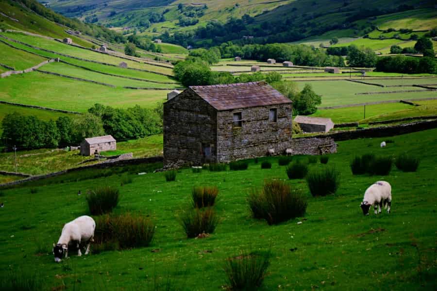 There’s lots of lovely scenery to see on the route of the Dales Way (Ian Cylkowski/Unsplash)