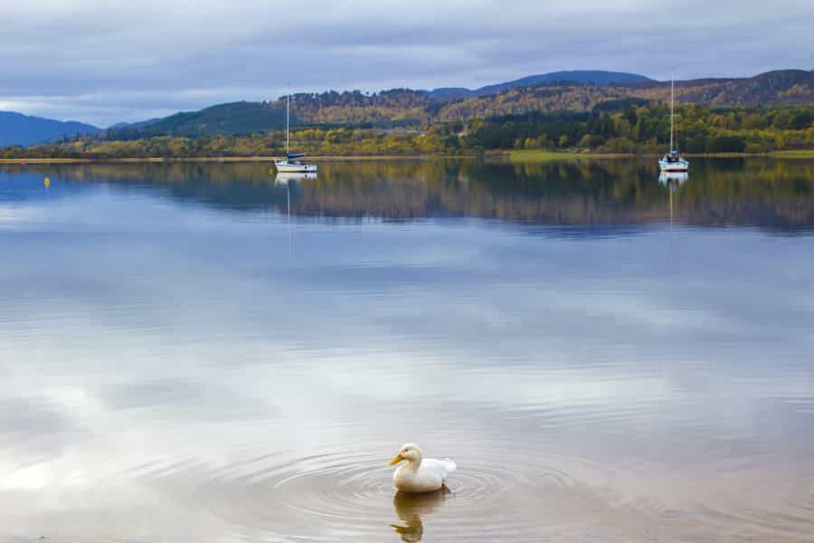 Loch Morlich (Benjamin Blyth/Unsplash)