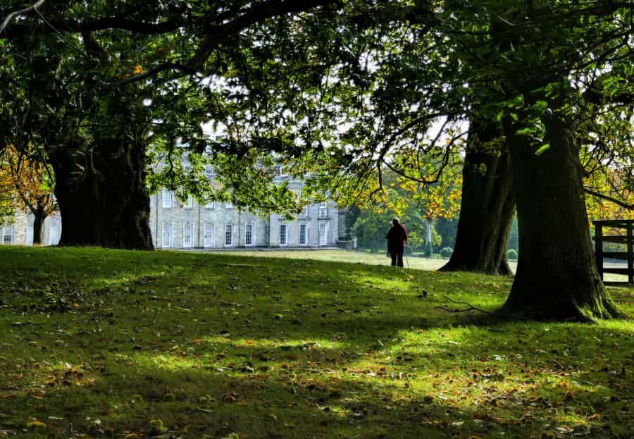In the grounds of Petworth House (Andy Newton/Unsplash)