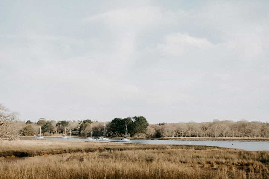 Scenery along the Beaulieu river (Annie Spratt/Unsplash)