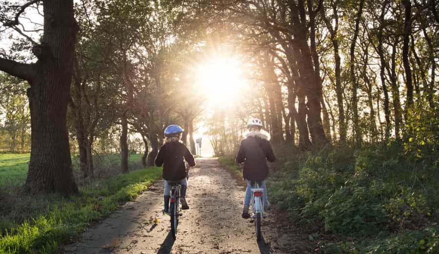 Family-friendly MTB routes in the New Forest (Skitterphoto/Pixabay)