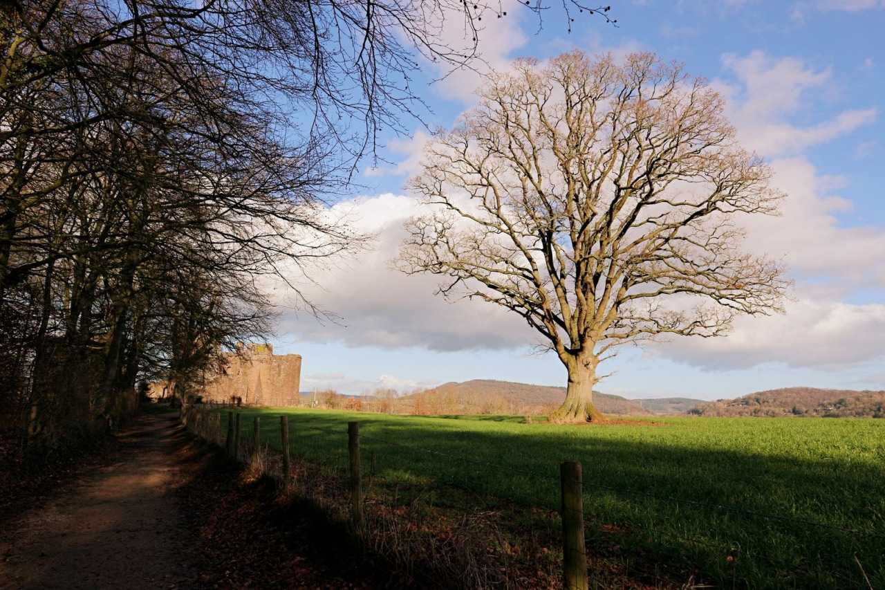 Goodrich Castle