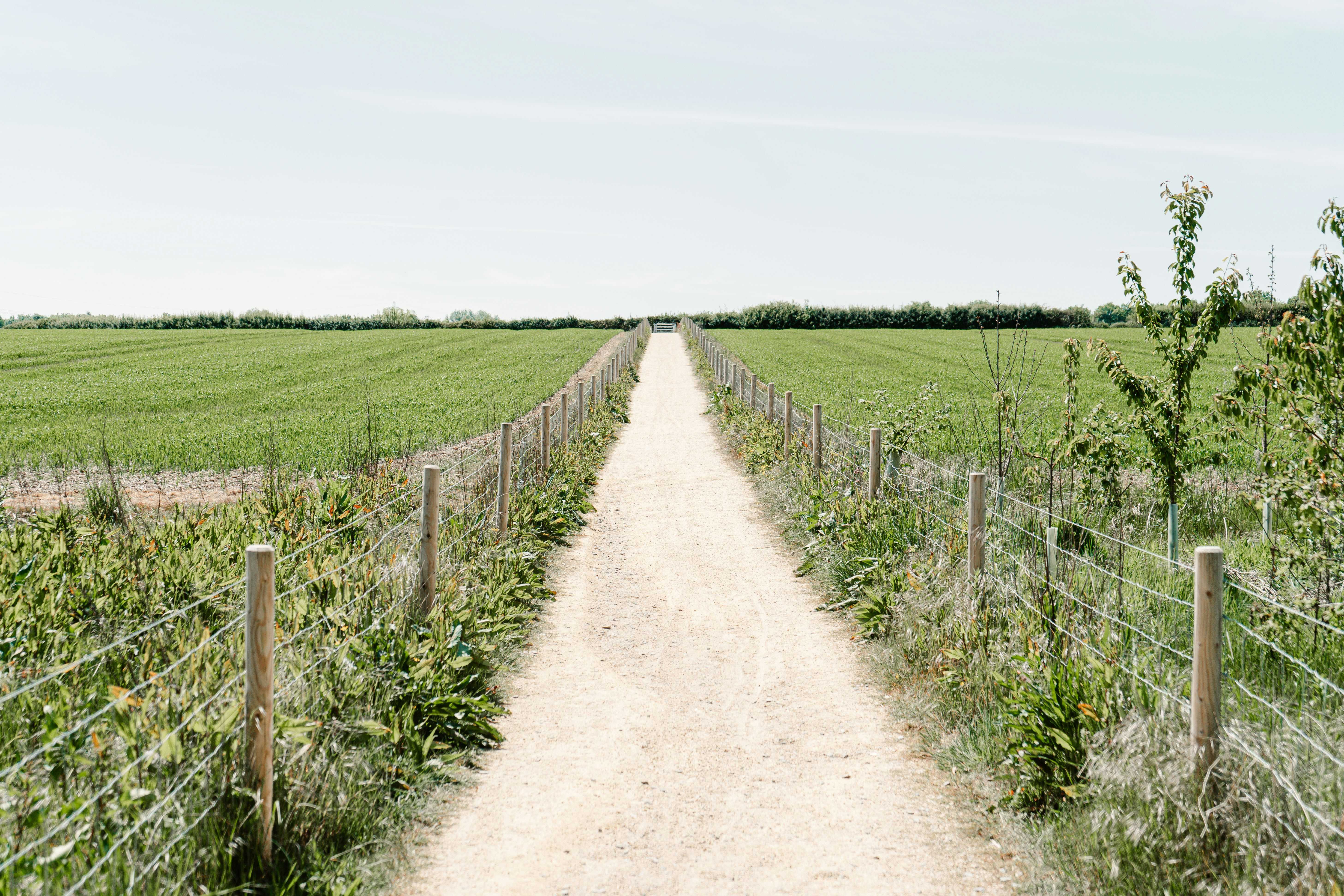 Leicestershire is full of lovely scenery for a walk (Joe Smith/Unsplash)