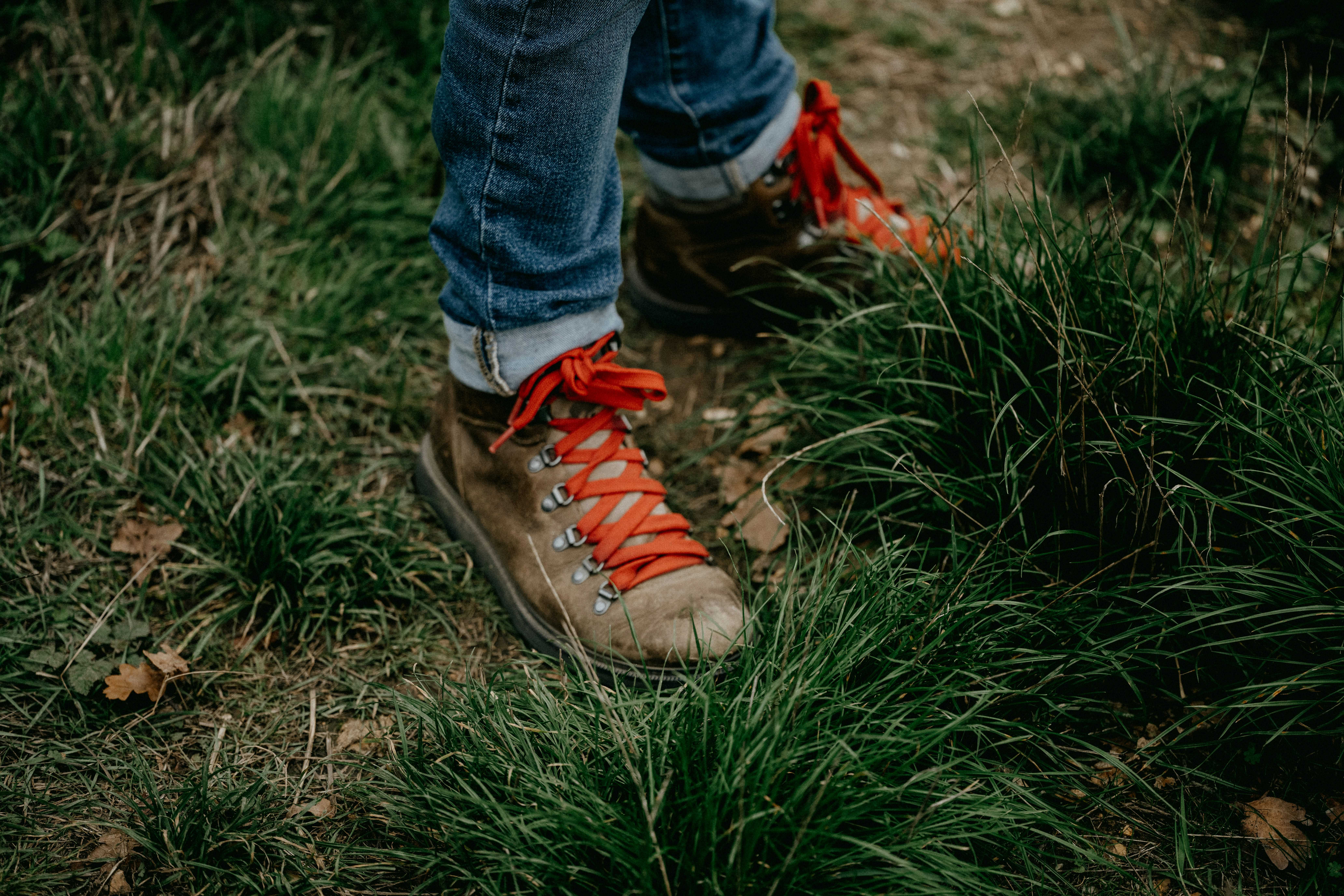 Get your boots ready for some of Flintshire’s best walks (Annie Spratt/Unsplash)