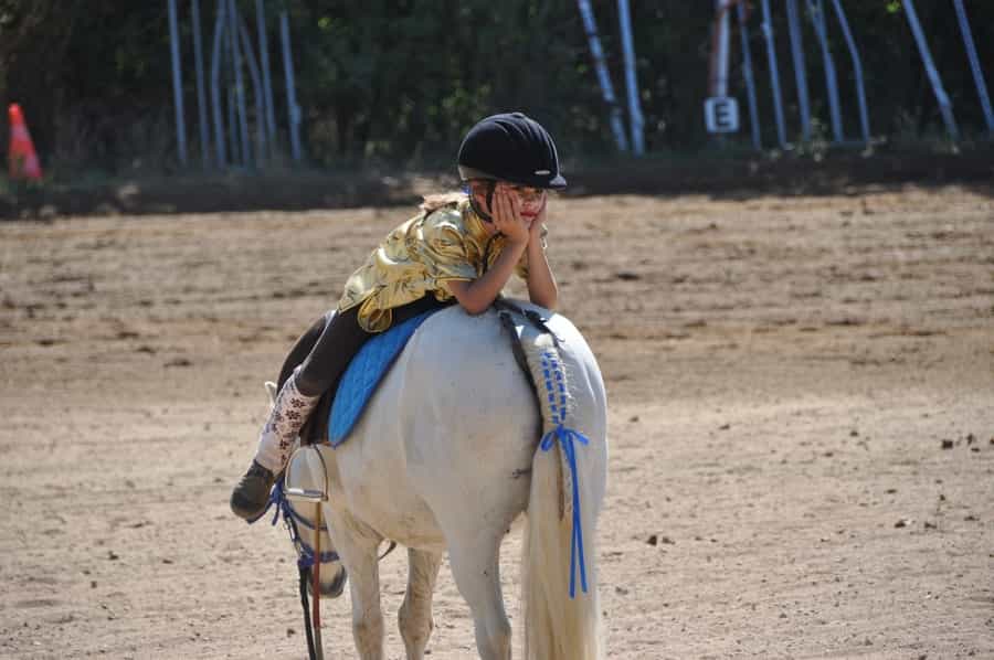 Children can learn to ride at equestrian centres in South Downs National Park (Pixabay)