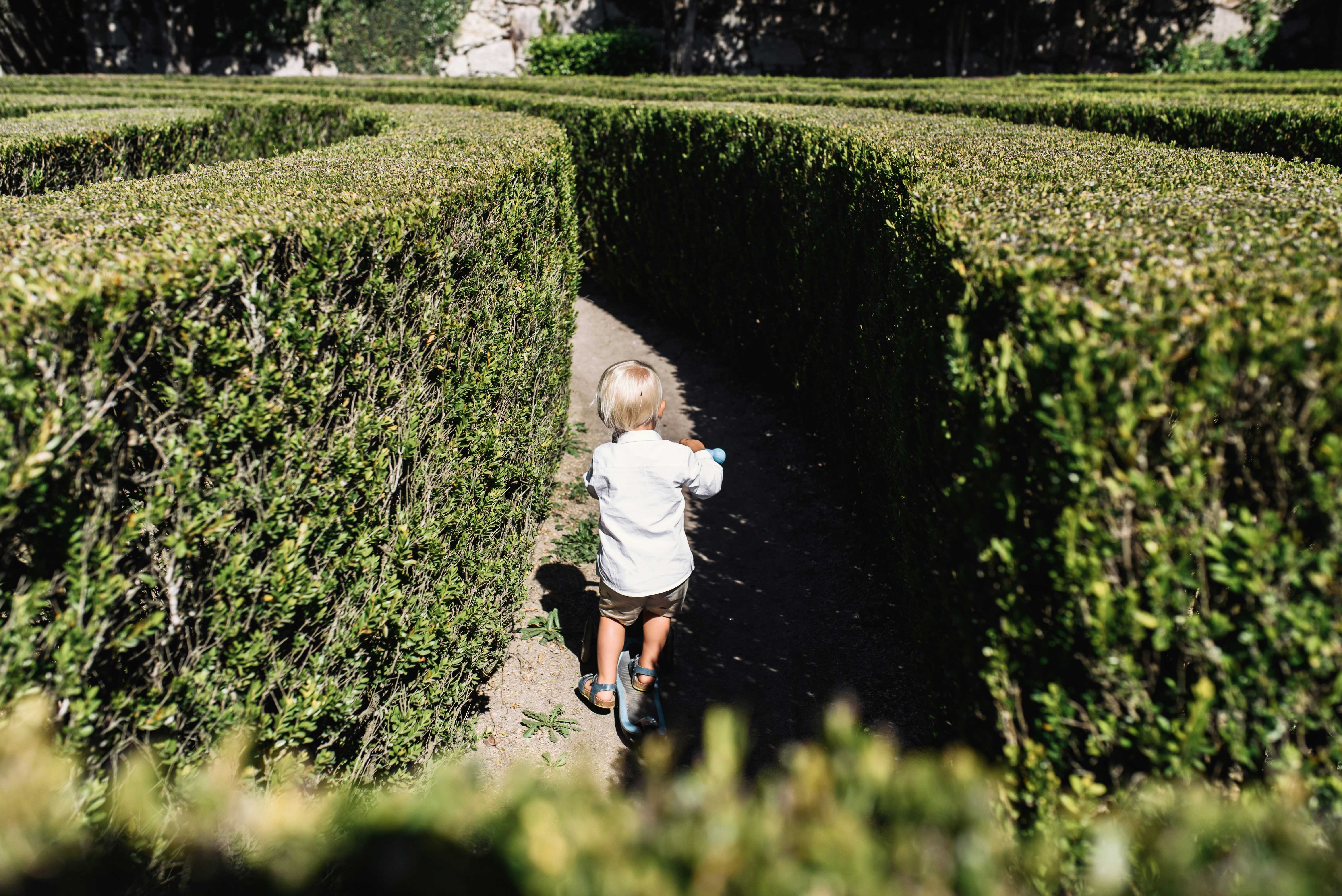 Can you find your way through the maze? (Maksym Kaharlytskyi/Unsplash)