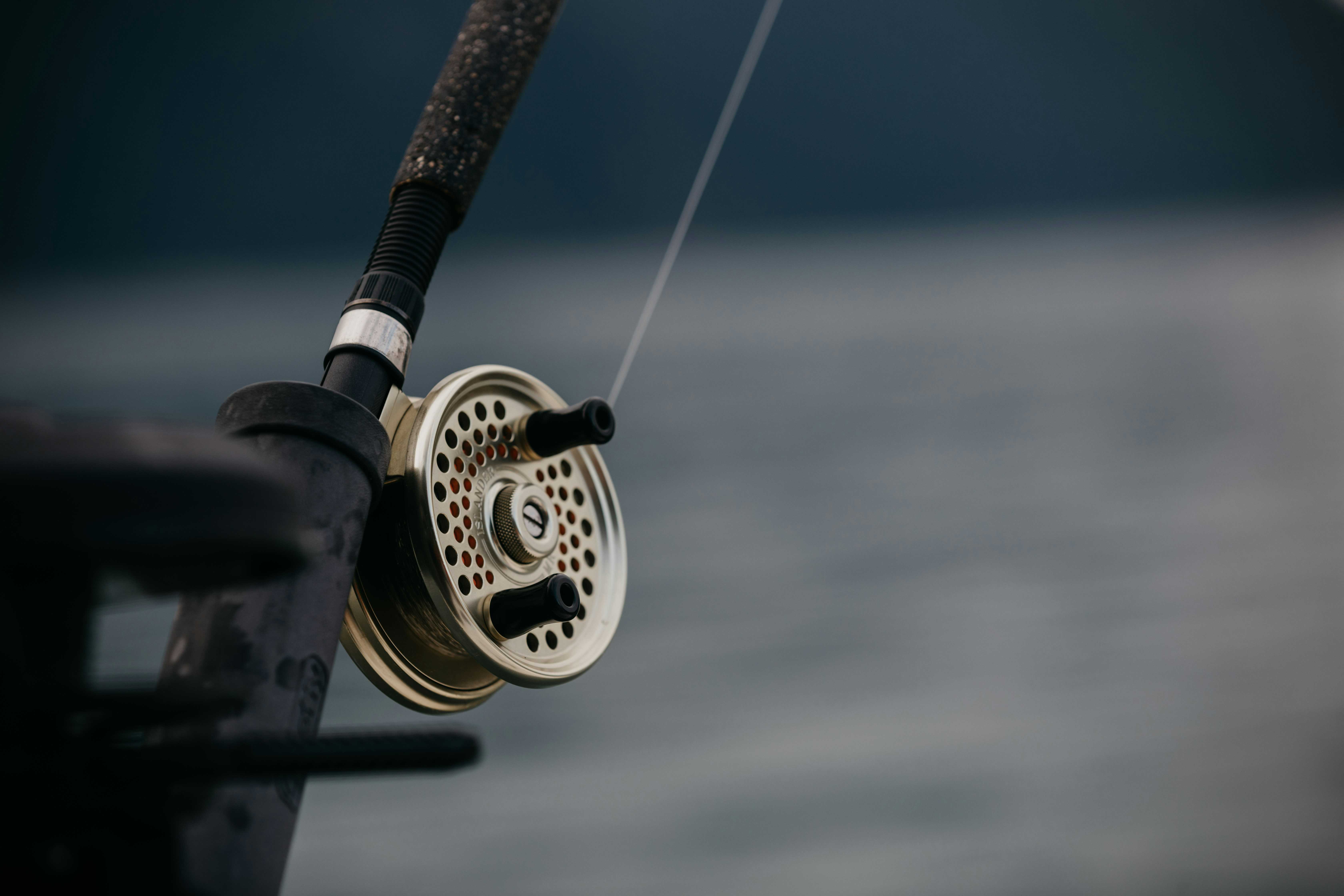 Go fishing at Ryton Pools Country Park (Matthew McBrayer/Unsplash)