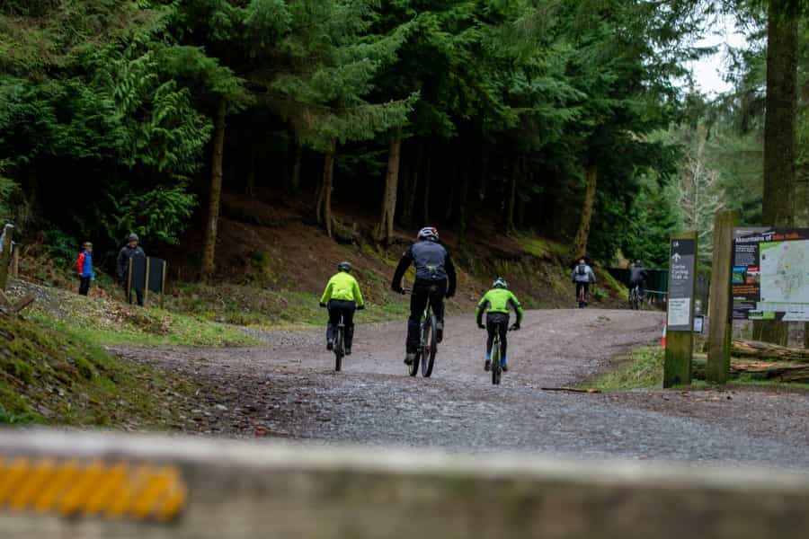 Whinlatter Forest (Richard Bell/Unsplash)