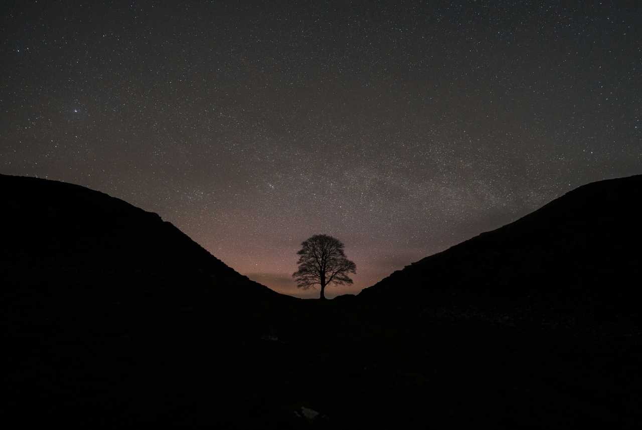 Night sky at Sycamore Gap 2023 (Jonny Gios/Unsplash)